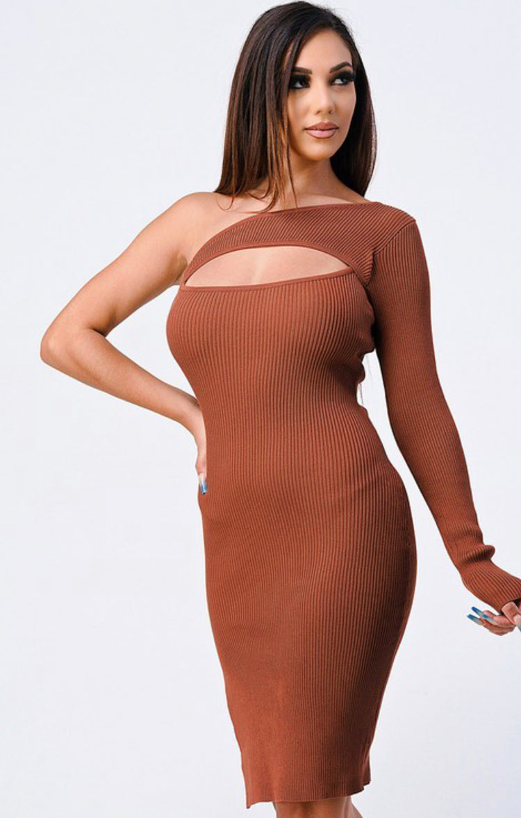 Alani Fitted Dress